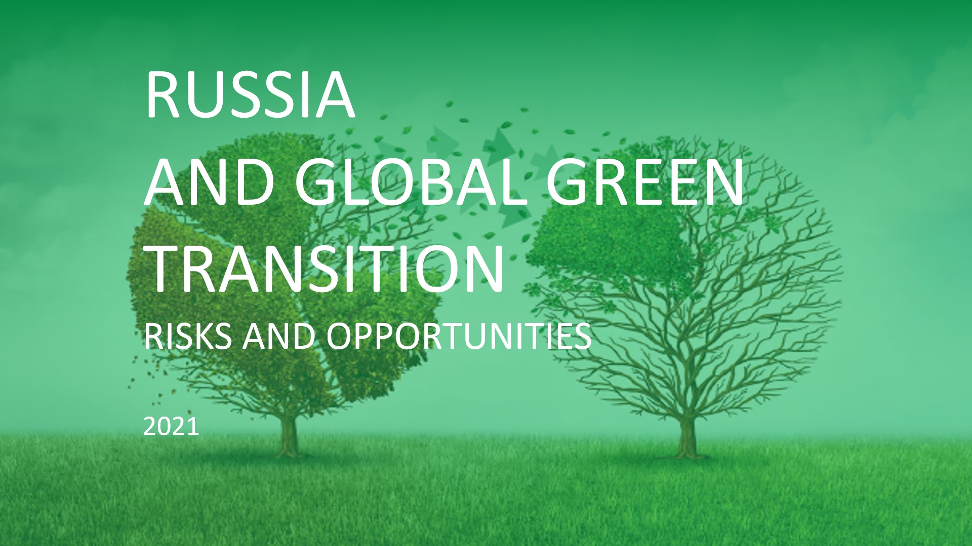 Опубликован доклад «Россия и глобальный зеленый переход: риски и возможности»
